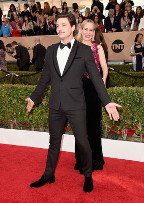 01302016_-_22nd_Annual_Screen_Actors_Guild_Awards_-_Red_Carpet_015.jpg
