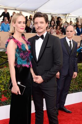 01302016_-_22nd_Annual_Screen_Actors_Guild_Awards_-_Red_Carpet_016.jpg