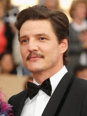 01302016_-_22nd_Annual_Screen_Actors_Guild_Awards_-_Red_Carpet_027.jpg