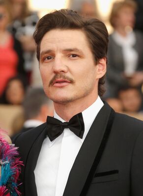 01302016_-_22nd_Annual_Screen_Actors_Guild_Awards_-_Red_Carpet_046.jpg