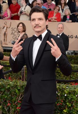 01302016_-_22nd_Annual_Screen_Actors_Guild_Awards_-_Red_Carpet_057.jpg
