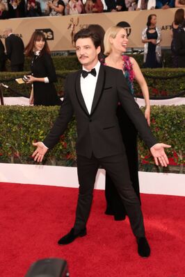 01302016_-_22nd_Annual_Screen_Actors_Guild_Awards_-_Red_Carpet_065.jpg