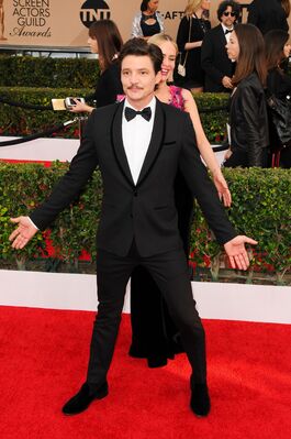 01302016_-_22nd_Annual_Screen_Actors_Guild_Awards_-_Red_Carpet_097.jpg