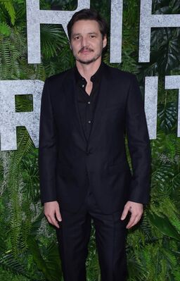 03032019_-_Netflix_World_Premiere_of_TRIPLE_FRONTIER_056.jpg
