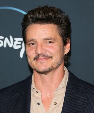 11142019_-_Premiere_Of_DisneyPluses_The_Mandalorian_-_Arrivals_009.jpg