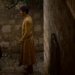 GAME_OF_THRONES_-_E4X01_TWO_SWORDS_659.jpg