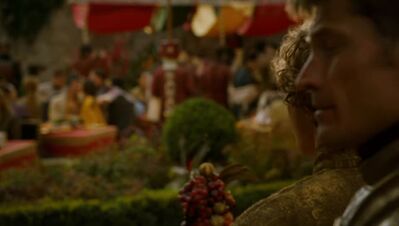 GAME_OF_THRONES_-_E4X02_THE_LION_AND_THE_ROSE_102.jpg