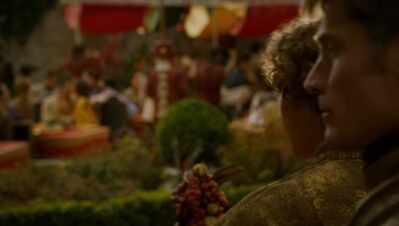 GAME_OF_THRONES_-_E4X02_THE_LION_AND_THE_ROSE_103.jpg