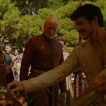 GAME_OF_THRONES_-_E4X02_THE_LION_AND_THE_ROSE_131.jpg