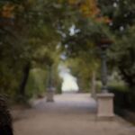 Filename=GAME_OF_THRONES_-_E4X05_FIRST_OF_HIS_NAME_245.jpg
Filesize=244KiB
Dimensions=1920x1088
Date added=Sep 23, 2023 GAME_OF_THRONES_-_E4X05_FIRST_OF_HIS_NAME_245.jpg