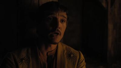 GAME_OF_THRONES_-_E4X07_MOCKINGBIRD_106.jpg