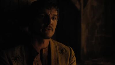 GAME_OF_THRONES_-_E4X07_MOCKINGBIRD_151.jpg