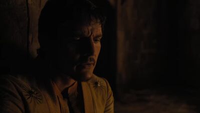 GAME_OF_THRONES_-_E4X07_MOCKINGBIRD_429.jpg