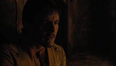 GAME_OF_THRONES_-_E4X07_MOCKINGBIRD_431.jpg