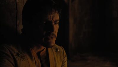 GAME_OF_THRONES_-_E4X07_MOCKINGBIRD_432.jpg