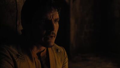 GAME_OF_THRONES_-_E4X07_MOCKINGBIRD_436.jpg