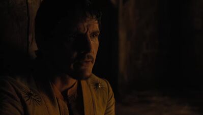 GAME_OF_THRONES_-_E4X07_MOCKINGBIRD_438.jpg