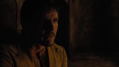 GAME_OF_THRONES_-_E4X07_MOCKINGBIRD_439.jpg