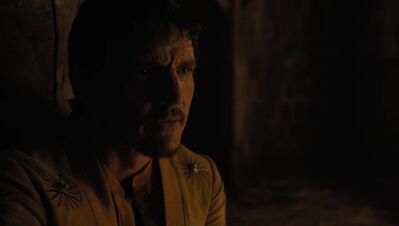 GAME_OF_THRONES_-_E4X07_MOCKINGBIRD_442.jpg
