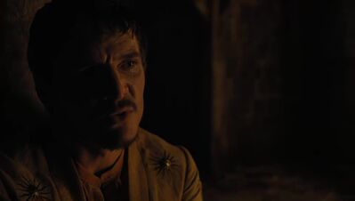 GAME_OF_THRONES_-_E4X07_MOCKINGBIRD_450.jpg