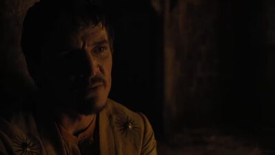GAME_OF_THRONES_-_E4X07_MOCKINGBIRD_451.jpg