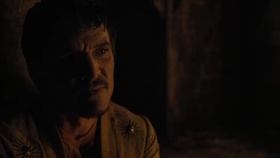 GAME_OF_THRONES_-_E4X07_MOCKINGBIRD_457.jpg