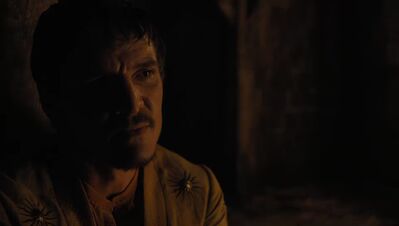 GAME_OF_THRONES_-_E4X07_MOCKINGBIRD_458.jpg