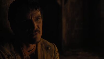 GAME_OF_THRONES_-_E4X07_MOCKINGBIRD_461.jpg
