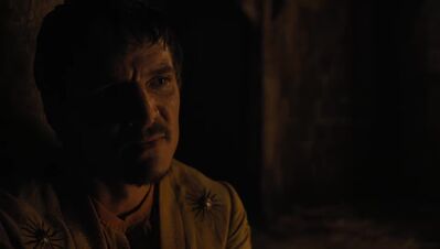 GAME_OF_THRONES_-_E4X07_MOCKINGBIRD_467.jpg