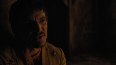 GAME_OF_THRONES_-_E4X07_MOCKINGBIRD_469.jpg