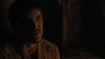 GAME_OF_THRONES_-_E4X07_MOCKINGBIRD_471.jpg