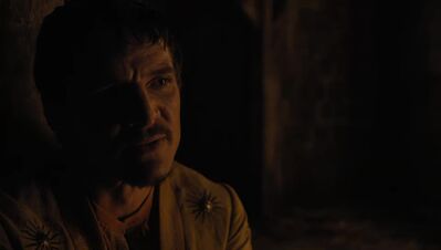 GAME_OF_THRONES_-_E4X07_MOCKINGBIRD_475.jpg