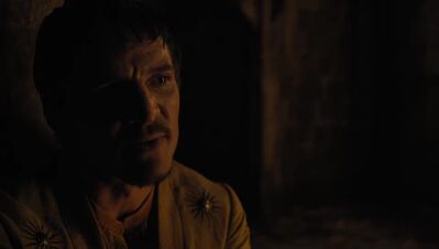GAME_OF_THRONES_-_E4X07_MOCKINGBIRD_480.jpg