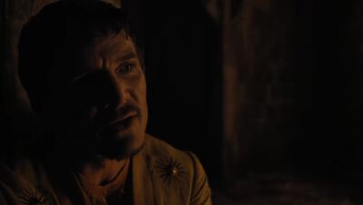 GAME_OF_THRONES_-_E4X07_MOCKINGBIRD_494.jpg