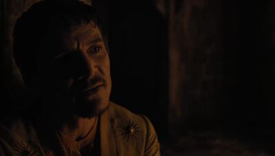 GAME_OF_THRONES_-_E4X07_MOCKINGBIRD_496.jpg