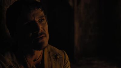 GAME_OF_THRONES_-_E4X07_MOCKINGBIRD_498.jpg