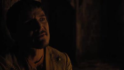 GAME_OF_THRONES_-_E4X07_MOCKINGBIRD_509.jpg