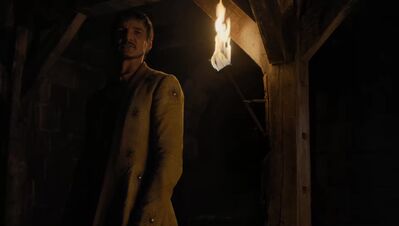 GAME_OF_THRONES_-_E4X07_MOCKINGBIRD_541.jpg