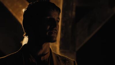 GAME_OF_THRONES_-_E4X07_MOCKINGBIRD_567.jpg