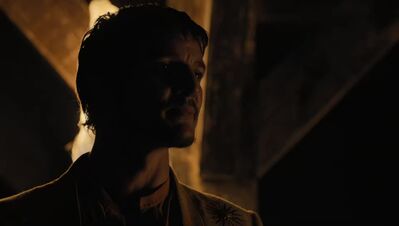 GAME_OF_THRONES_-_E4X07_MOCKINGBIRD_568.jpg