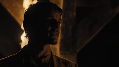 GAME_OF_THRONES_-_E4X07_MOCKINGBIRD_571.jpg