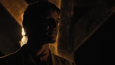GAME_OF_THRONES_-_E4X07_MOCKINGBIRD_572.jpg