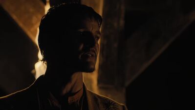 GAME_OF_THRONES_-_E4X07_MOCKINGBIRD_576.jpg