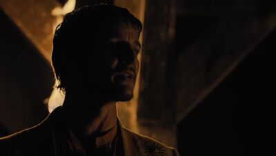 GAME_OF_THRONES_-_E4X07_MOCKINGBIRD_582.jpg