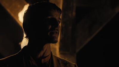 GAME_OF_THRONES_-_E4X07_MOCKINGBIRD_583.jpg