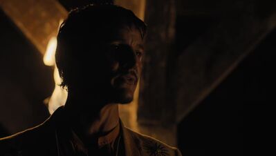 GAME_OF_THRONES_-_E4X07_MOCKINGBIRD_585.jpg