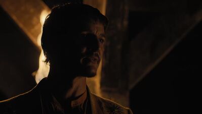 GAME_OF_THRONES_-_E4X07_MOCKINGBIRD_586.jpg