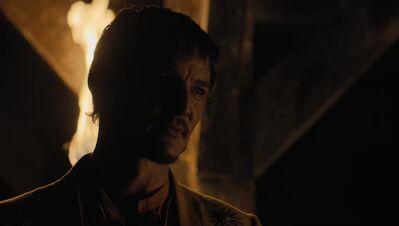 GAME_OF_THRONES_-_E4X07_MOCKINGBIRD_590.jpg