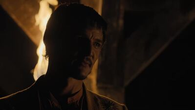 GAME_OF_THRONES_-_E4X07_MOCKINGBIRD_591.jpg