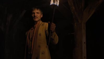 GAME_OF_THRONES_-_E4X07_MOCKINGBIRD_618.jpg